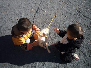 e0067674_7362210.jpg