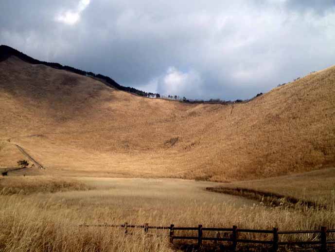 e0126576_1543089.jpg