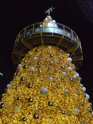 c0128278_20111914.jpg