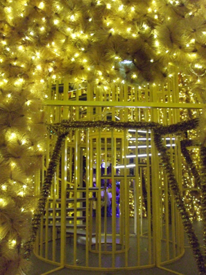 c0128278_2015951.jpg