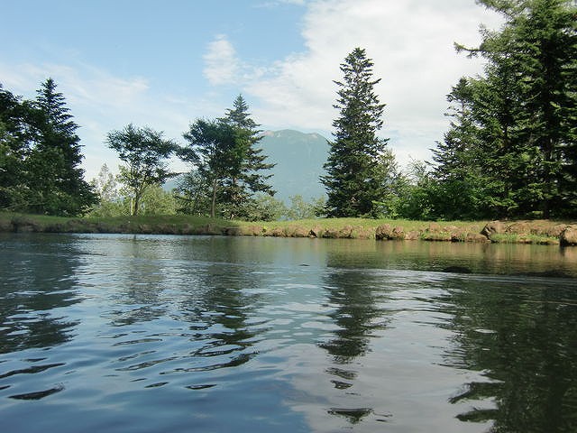 a0242984_032974.jpg