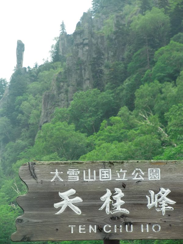 a0242984_2565025.jpg
