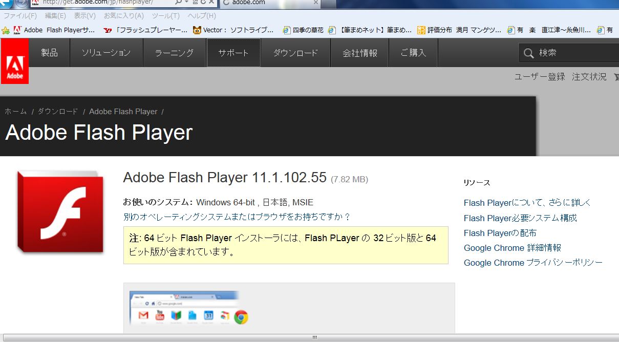 Flash Playerについて！_e0065084_14545890.jpg