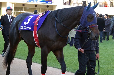 無敗の２歳王者誕生！朝日杯ＦＳはアルフレードが３連勝で初重賞制覇_b0015386_21344443.jpg