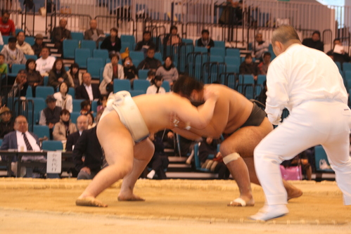 a0194993_1843342.jpg