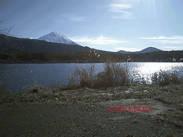 b0031493_1748970.gif