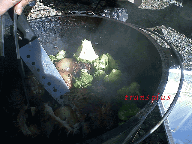 b0031493_180426.gif
