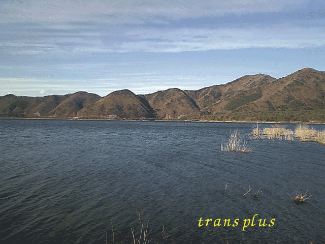 b0031493_1811599.gif