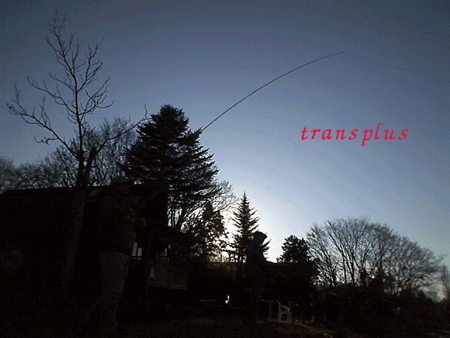 b0031493_22531288.gif