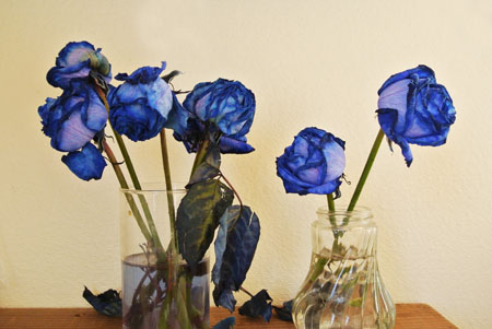 a0188795_1350119.jpg
