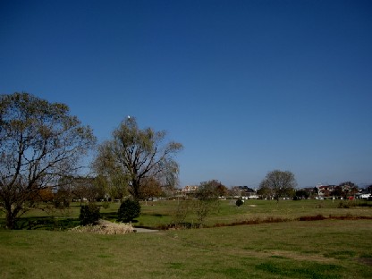 a0040103_20522938.jpg