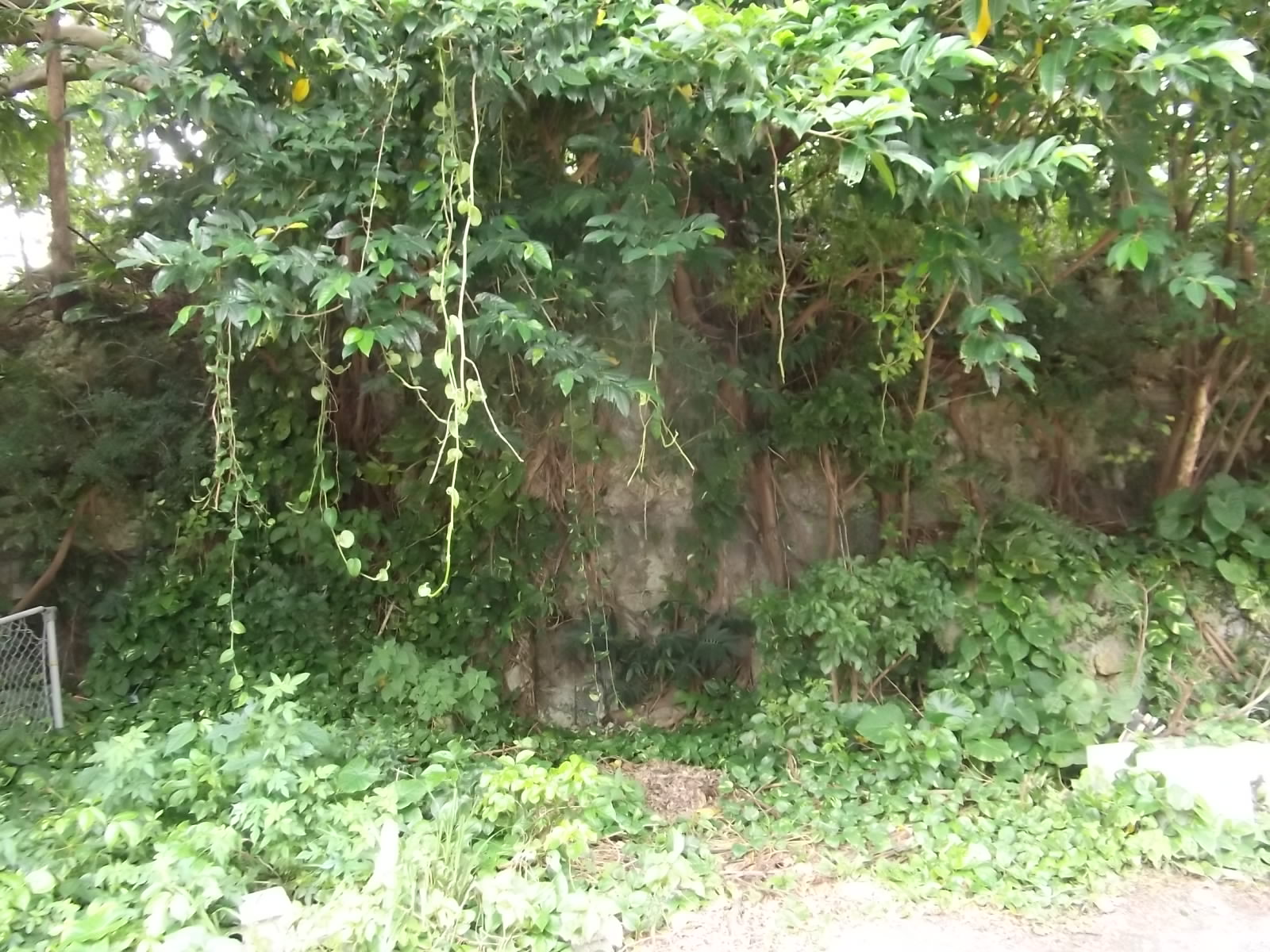 a0203003_19272478.jpg