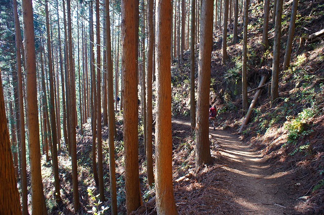 御岳山へ はいきんぐぅ ②_b0190603_1614132.jpg