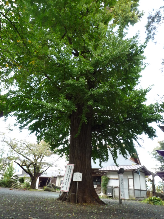 金塔山恵隆寺・立木観音(福島県会津坂下町）_c0120210_20105629.jpg