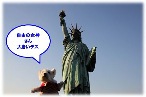 a0161111_12321149.jpg