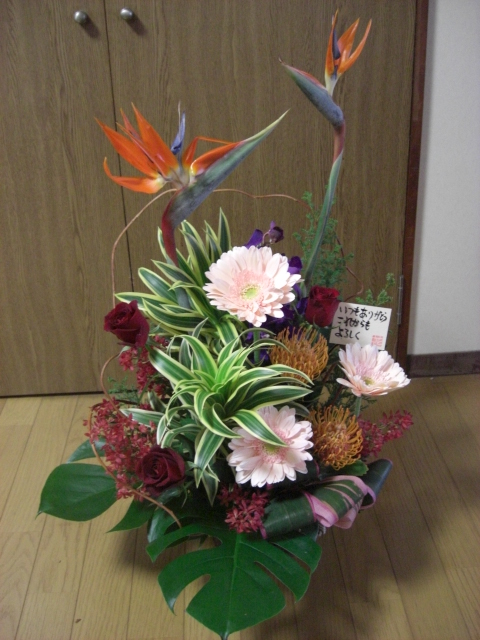 f0226713_22253726.jpg