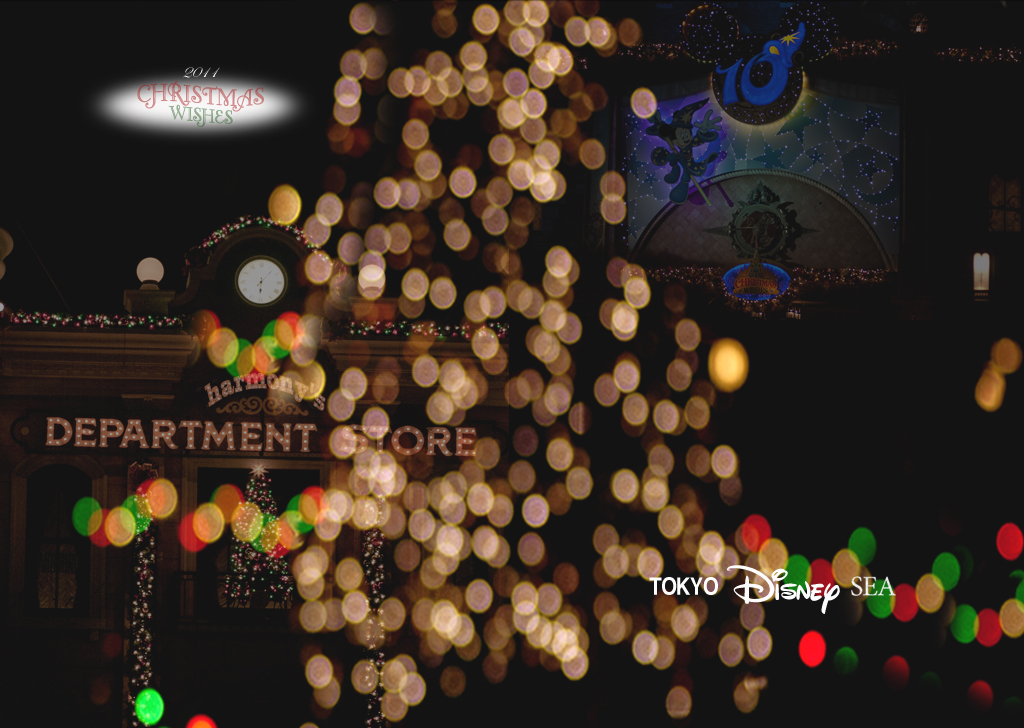 2011 Disney SEA クリスマス_c0222817_2350033.jpg
