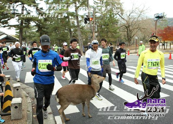 初フルマラソン(奈良マラソン2011)_f0065517_11805.jpg