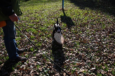 e0121418_22541542.jpg