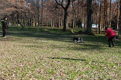 e0121418_22552515.jpg