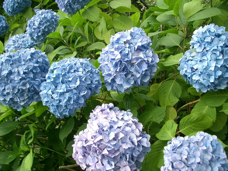 c0219820_22202880.jpg