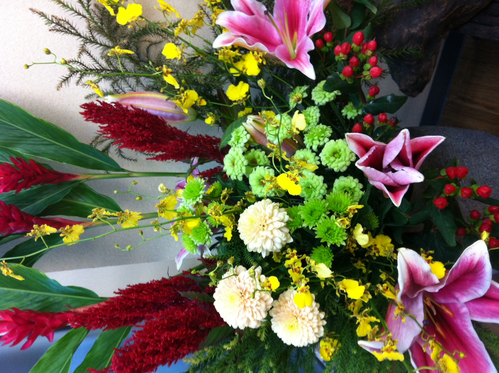 今週のお花とセール情報_a0200423_1944328.jpg