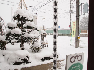 雪の按配_d0068023_23404881.jpg