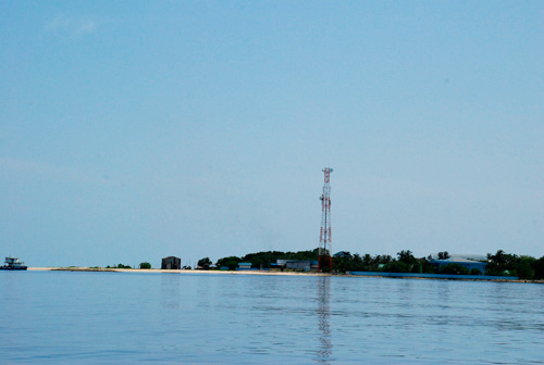f0209740_1446431.jpg