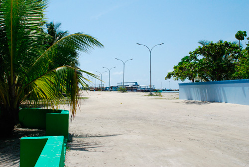 f0209740_14553375.jpg