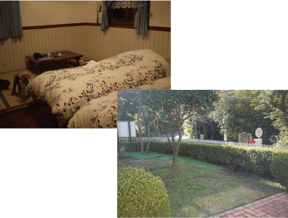 b0182846_21365627.gif