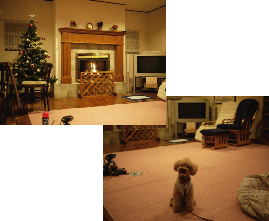 b0182846_21403627.gif