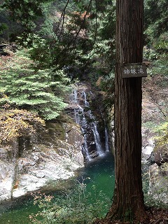 c0223646_11164246.jpg