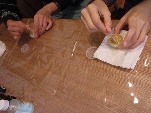 e0198052_163619.jpg
