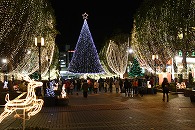 多摩イルミネーション_f0053757_21303482.jpg