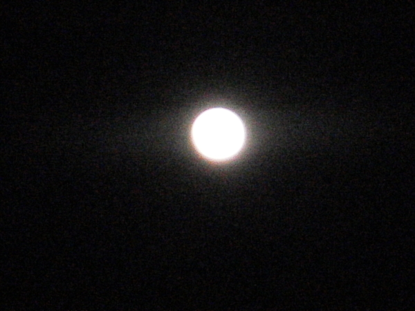 a0174458_0324774.jpg