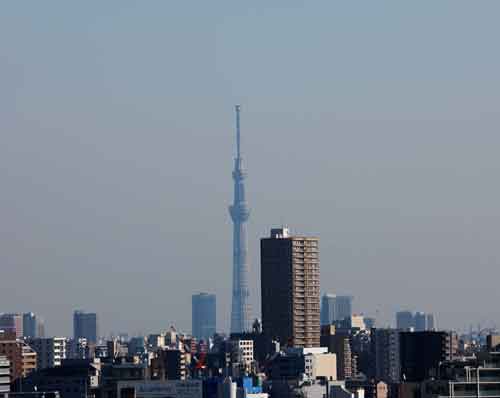 a0155464_17263784.jpg