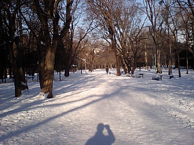 d0098665_18232021.jpg