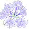 a0052666_1601961.gif