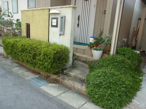 b0194267_1748874.jpg