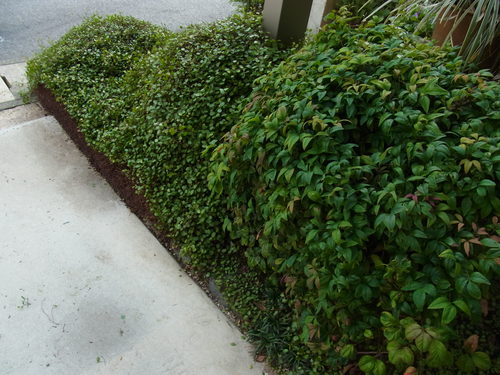 b0194267_17501049.jpg