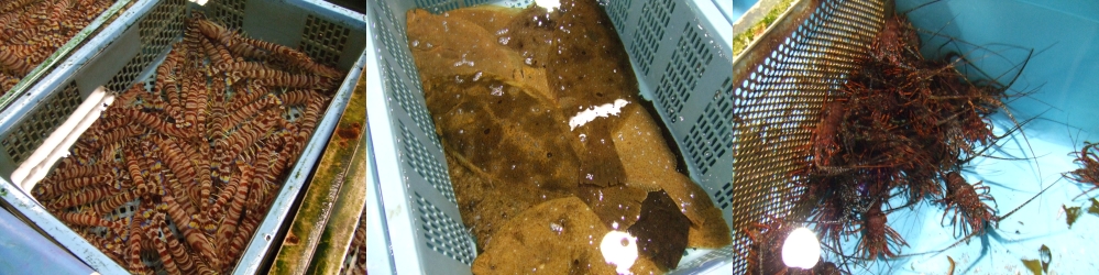 d0168569_11461446.jpg