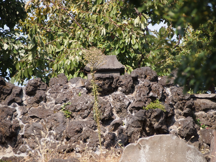 e0163471_1937458.jpg