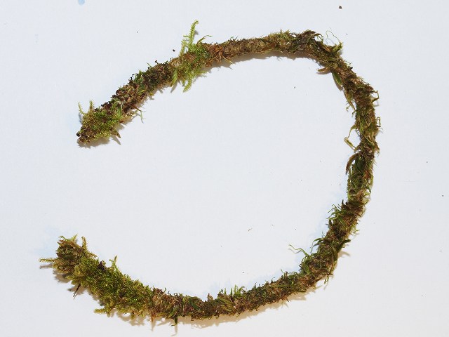 b0135573_2020423.jpg