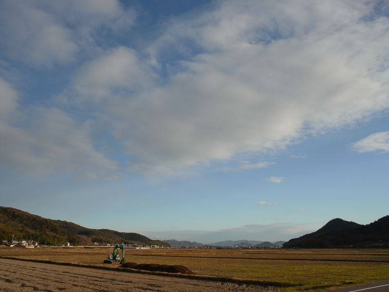 c0177576_1471261.jpg
