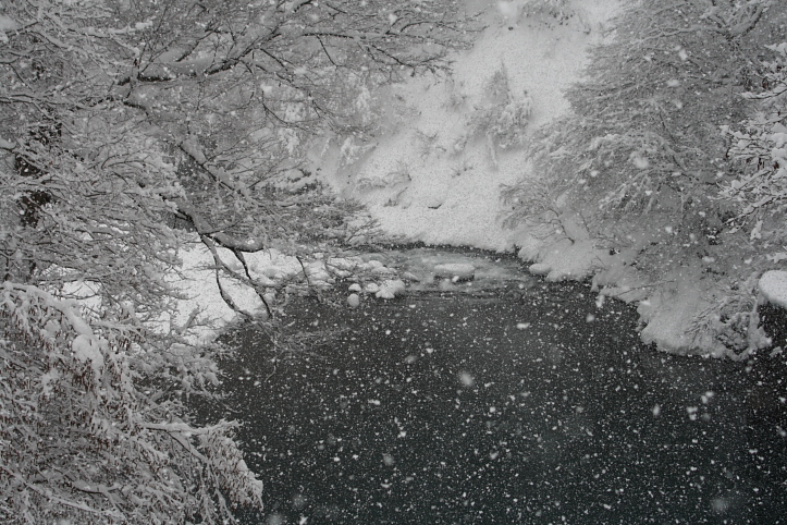 e0165983_126625.jpg