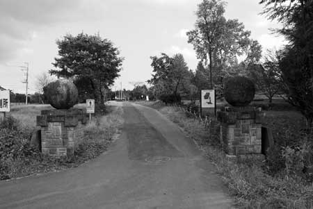 d0085887_0594643.jpg