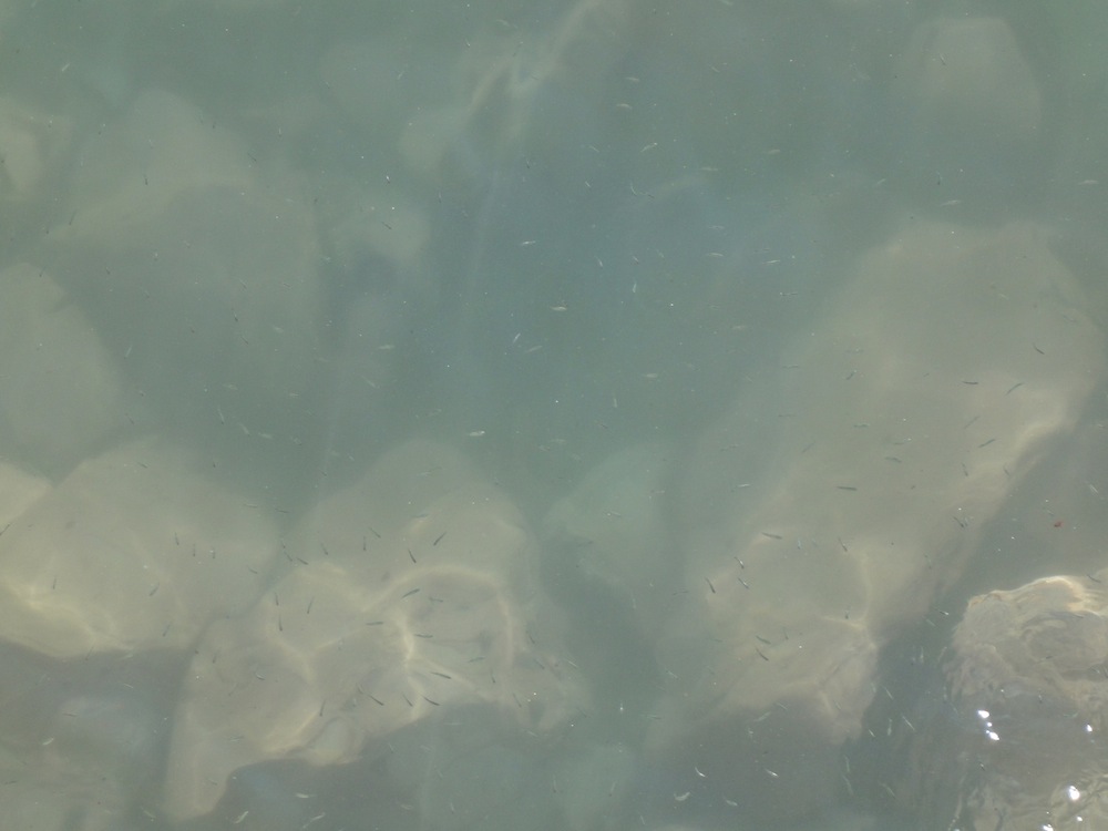e0030889_23231280.jpg