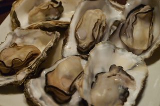a0233991_1512542.jpg
