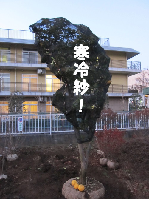 つぶろぐ、サービス終了します。_b0200291_195356100.jpg