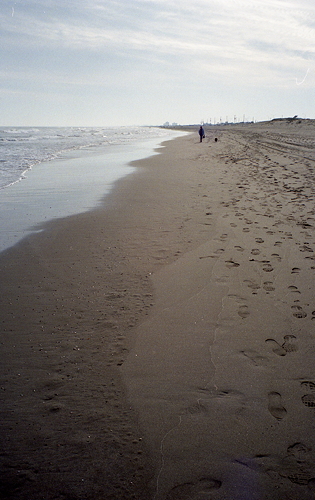 c0214494_2261778.jpg